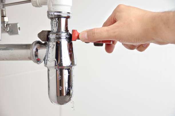 Best Residential Plumbing Services  in Mendota Heights, MN